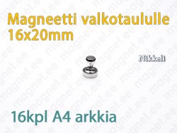 Magneetti valkotaululle D16x20mm, Metalli, Nikkeli