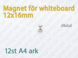 Magnet för Whiteboard D12x16mm, Metal, Nickelpläterad