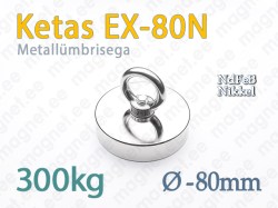 Silmusega magnet, Ketas EX-80N, Metallümbrisega