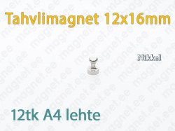 Tahvlimagnet D12x16mm, Metall, Nikkel