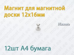 Магнит для магнитной доски D12x16мм, Металл, Никель