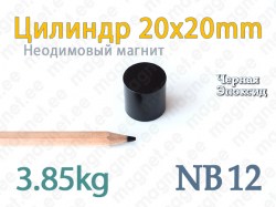 Неодимовые магнит Цилиндр 20x20мм, NB12, Эпоксид